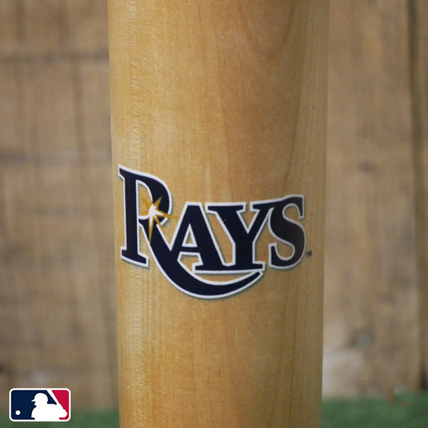 Tampa Bay Rays Mascot Dugout Mug